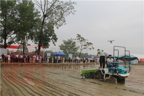 上海世達爾水稻穴直播機田間教學培訓