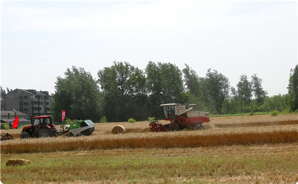 收割后世達爾大圓捆機打捆作業