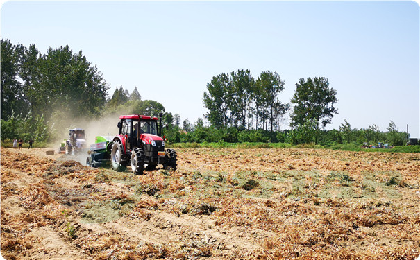 上海世達爾打捆機花生桿打捆作業圖片