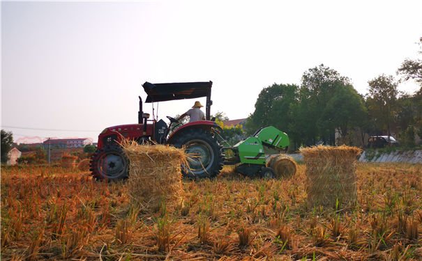 沙洋縣人大領導調研全縣秸稈綜合利用工作