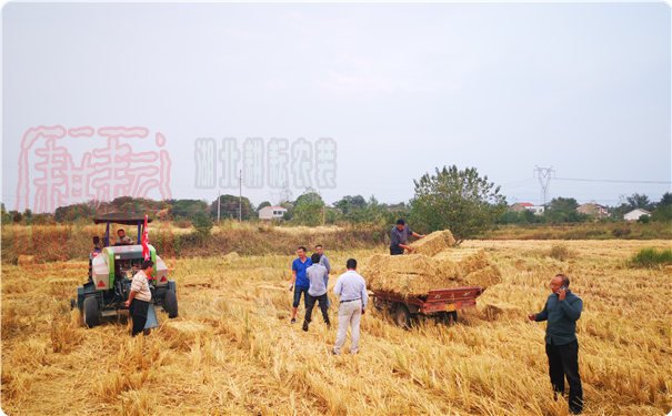 秸稈回收發電 環保又增收