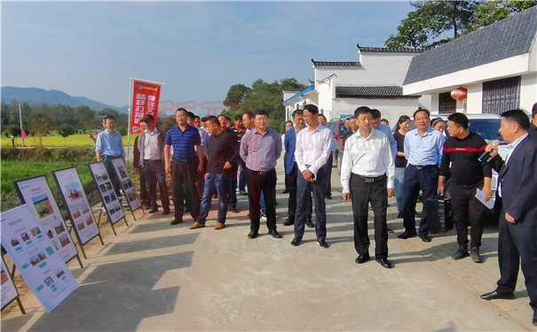 世達爾秸稈打捆機助力羅田農民秋收秋播