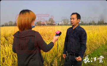 天門市瑞豐農產品產銷專業合作社理事長魯文武介紹農民土地季節性流轉