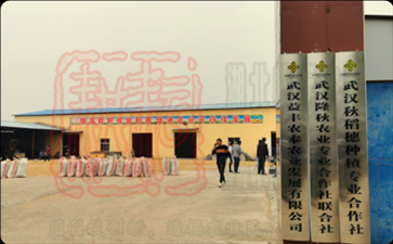 武漢隆秋農業合作社合作聯社