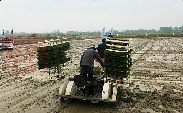 世達爾、優牧達打捆機參加湖北首屆新型農機田間展活動